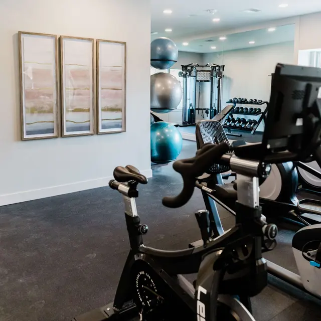 Interior view of a modern home gym featuring exercise equipment, including a stationary bike, weights, and workout balls.