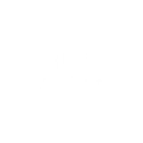 Logo of AOG Lining with stylized lettering and graphical elements.