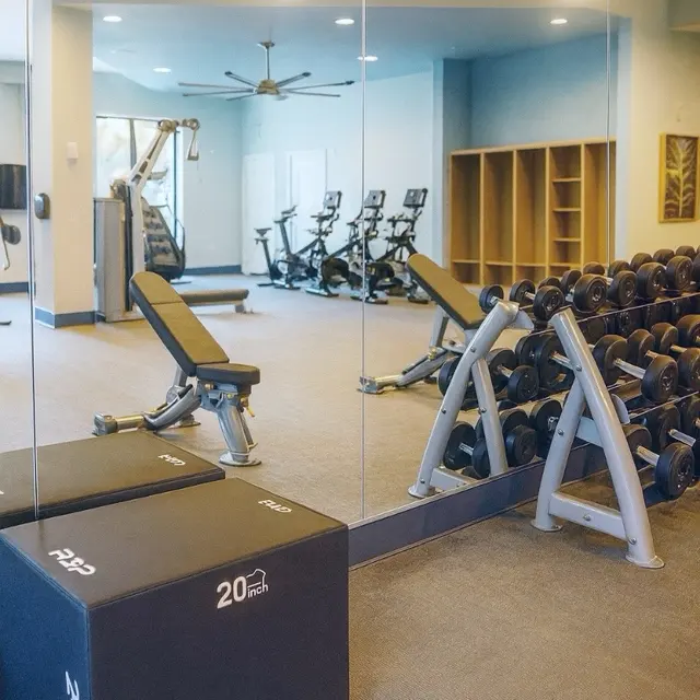 Interior view of a gym showcasing workout equipment including dumbbells, exercise benches, and fitness machines.