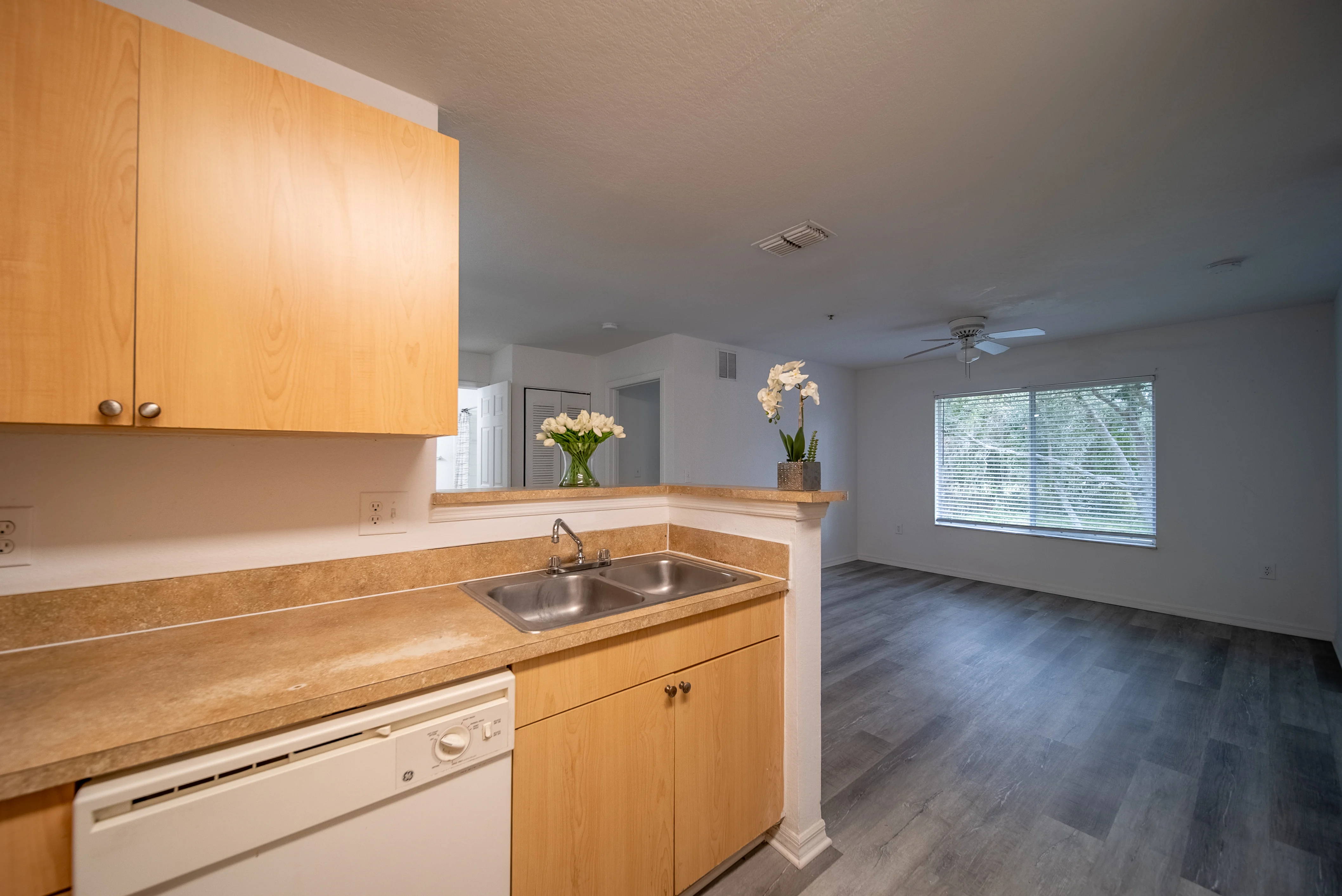 Modern Apartment Kitchen and Living Room View of a kitchen area with wooden cabinets and a countertop, leading into a living room space with a large window.