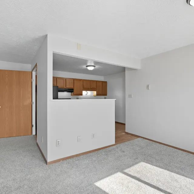 Empty living area with beige carpet, white walls, and kitchen in the background.