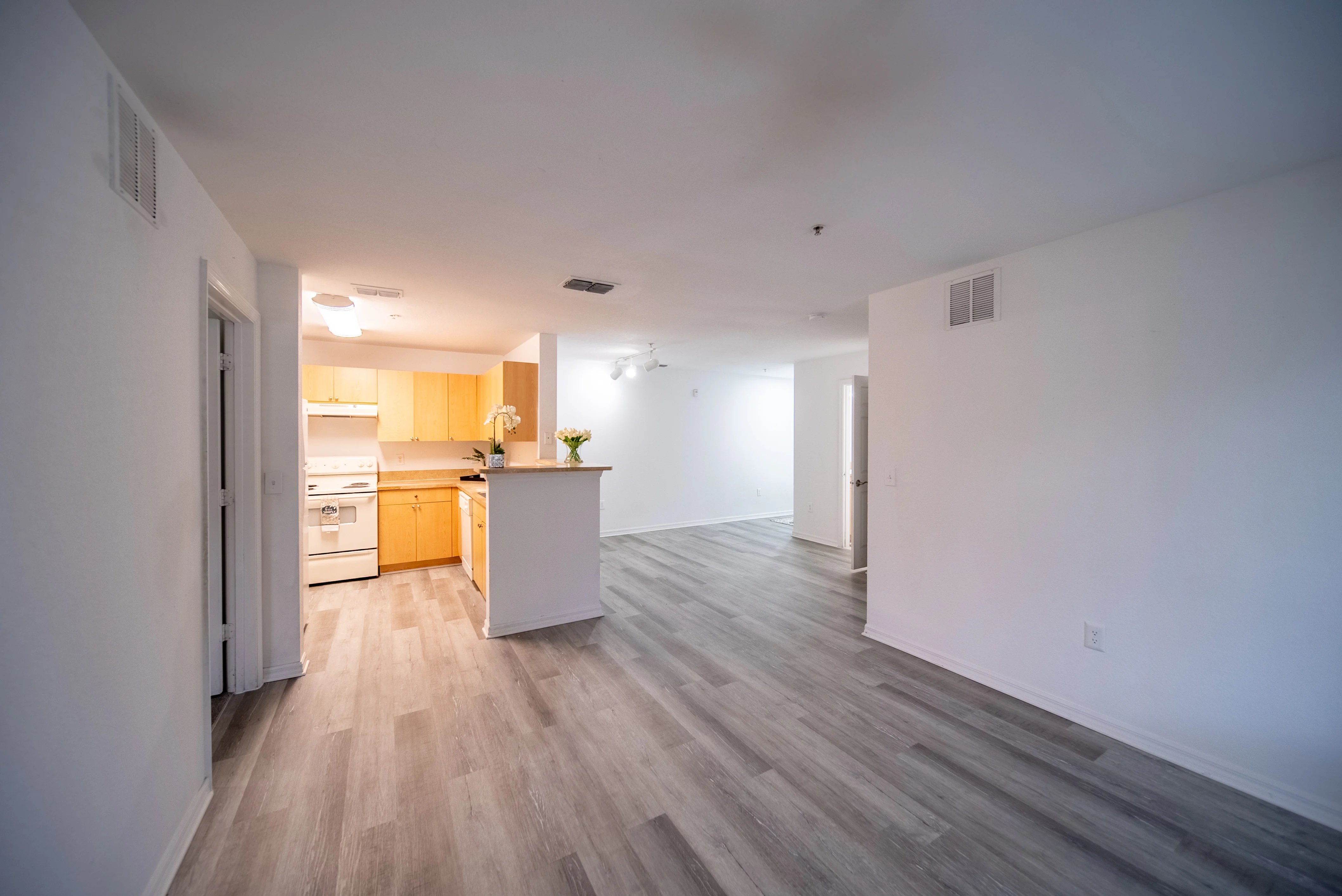 Modern Apartment Interior Spacious apartment interior featuring an open floor plan with wooden flooring, a kitchen area with light wooden cabinets, and a bright living space.