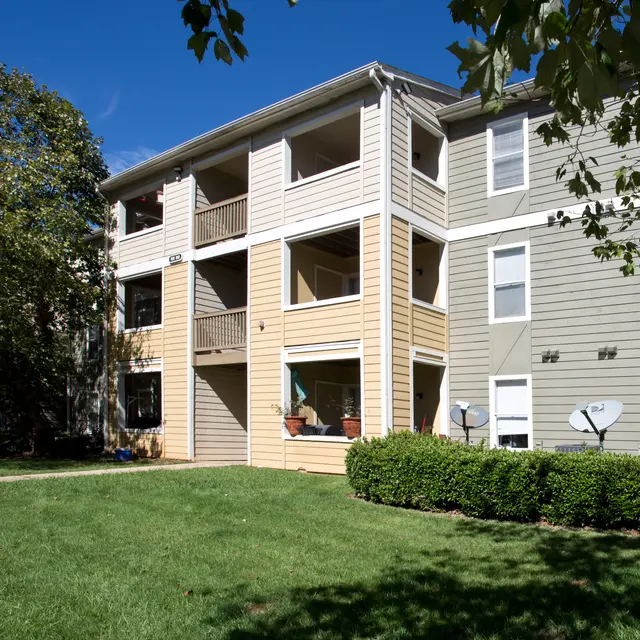 Tree Tops - Grass, Plant, City