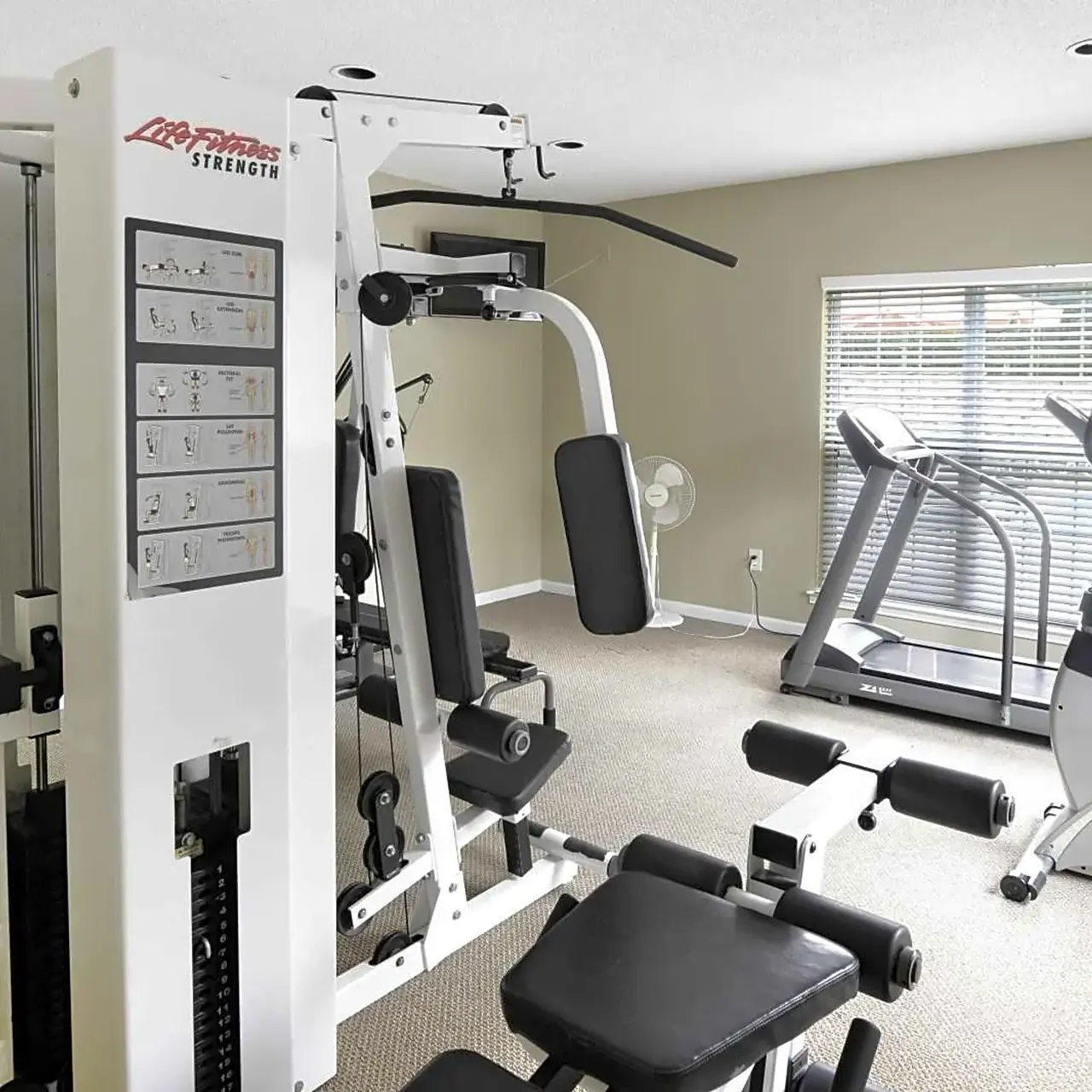 East Forest Park - Working Out, Fitness, Sport