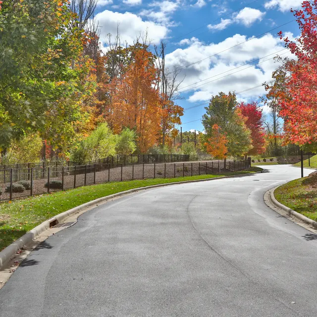 Aventine Asheville - Road, Tarmac, Tree