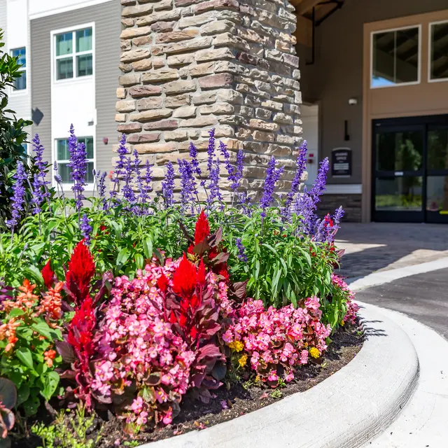 Rochester Park - Lupin, Geranium, Path