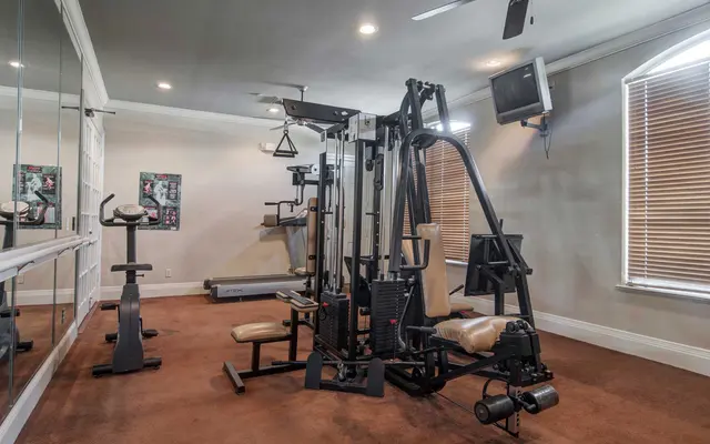 Reading Park - Ceiling Fan