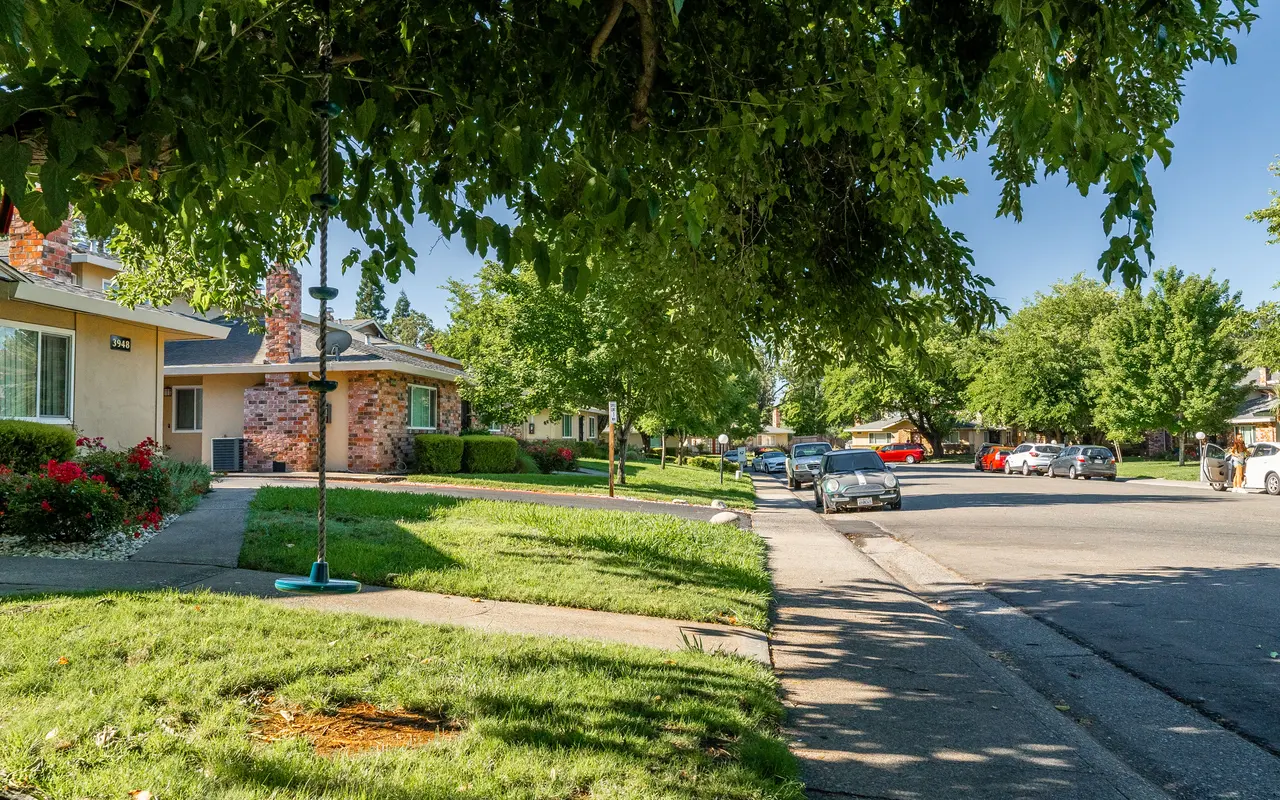Queenston Plaza - Grass, Neighborhood, City