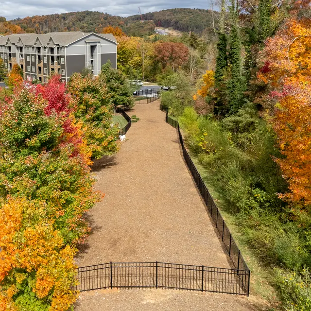Aventine Asheville - Tree, Building, Fir