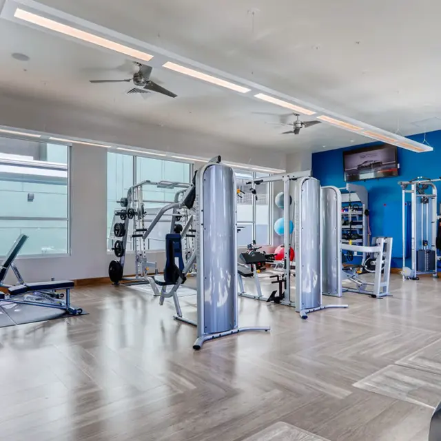 High Line Pointe High Line Pointe - Ceiling Fan