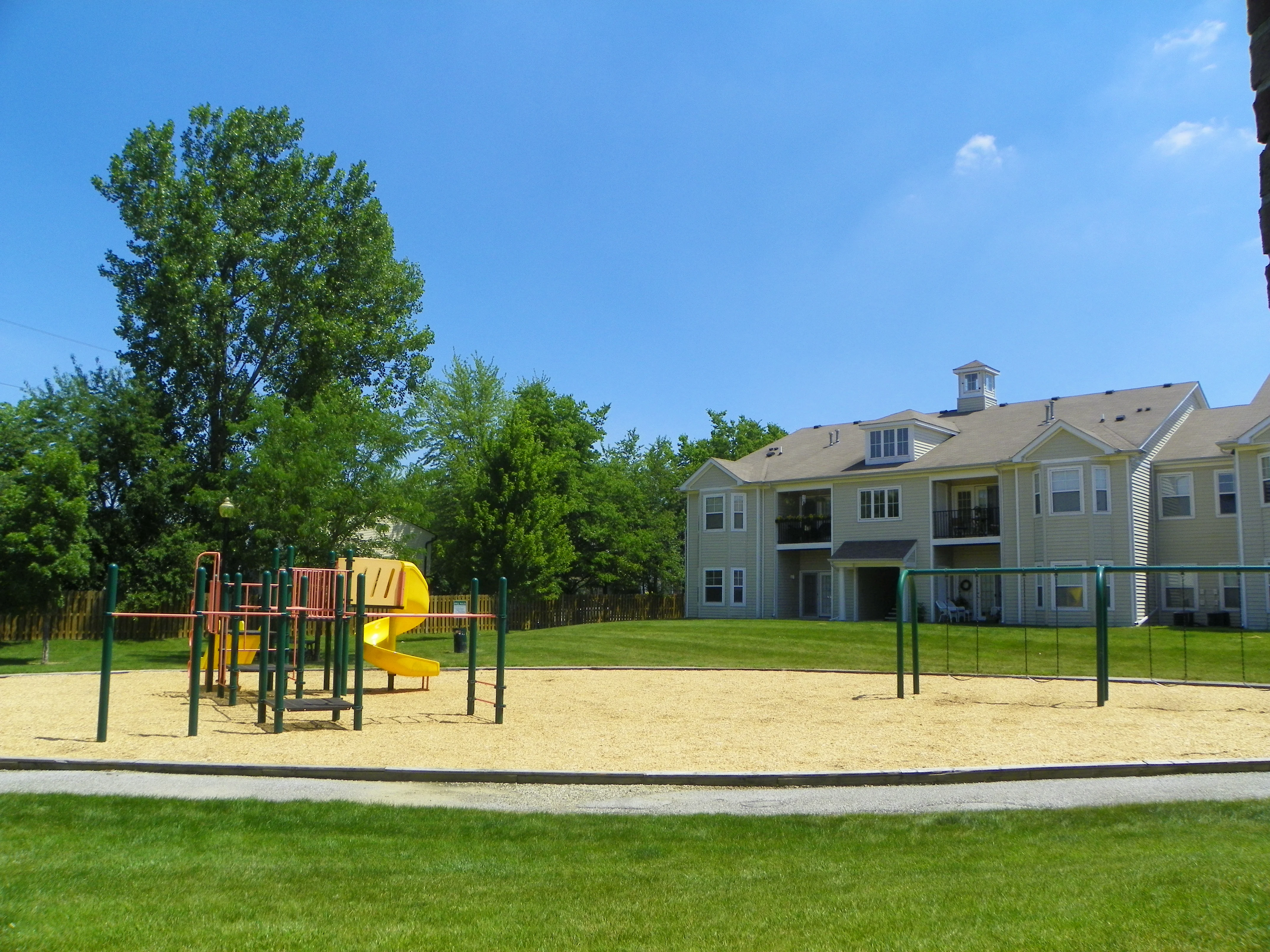Autumn Chase - Grass, Plant