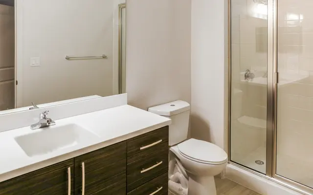 Pinnacle at Tarpon River Apts - Room