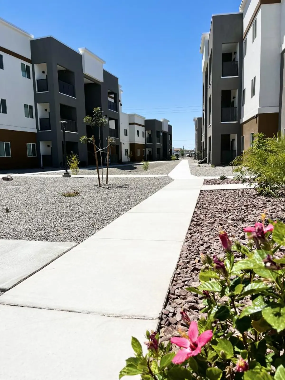 Landscaped walkway beside flowering plants and apartment buildings.