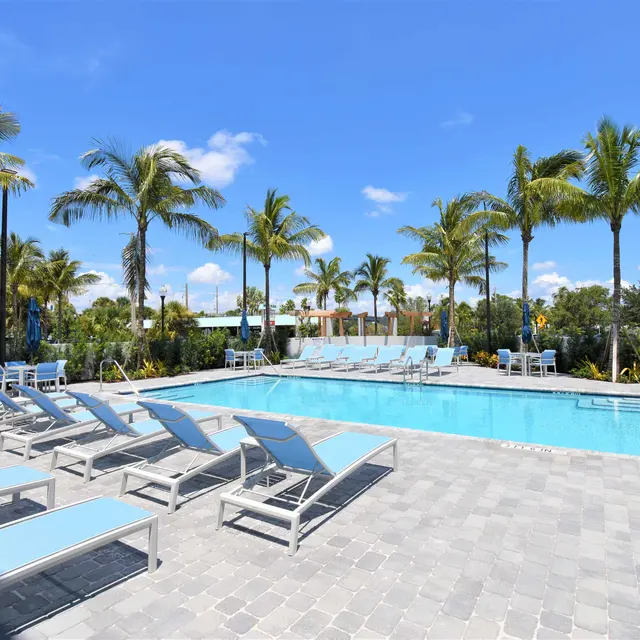 Azul Luxury Residences - Pool, Tree