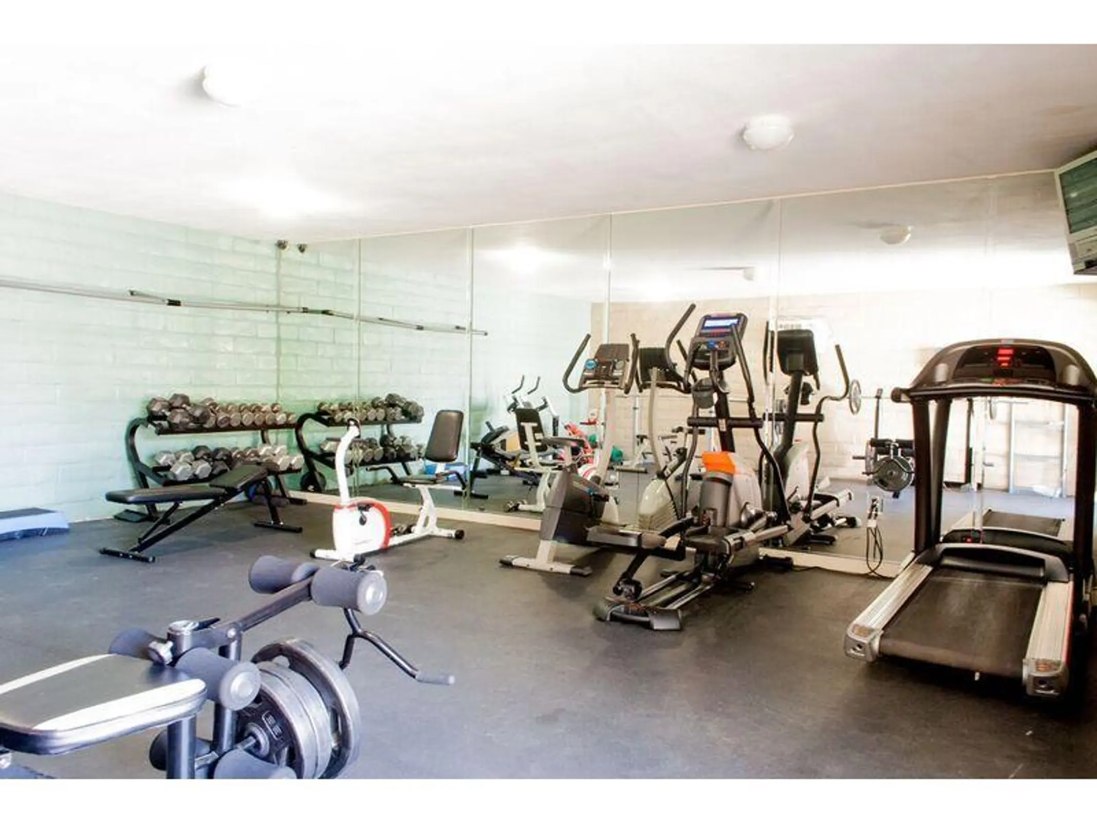 Fitness room with dumbbells, weight machines, a treadmill and exercise bikes.
