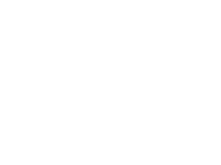 The Orion