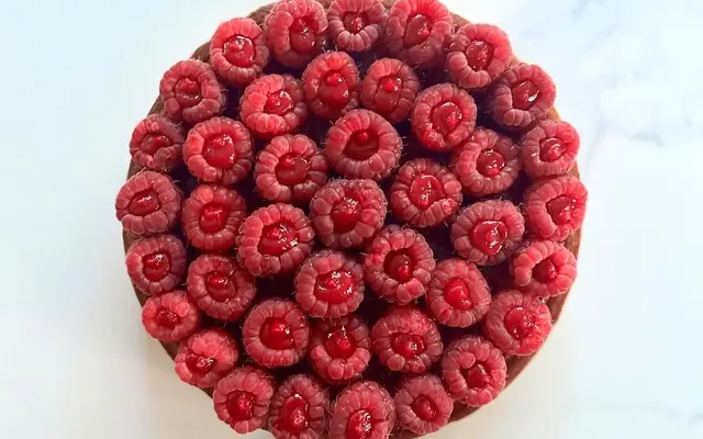 Vespr - Berry, Food, Fruit
