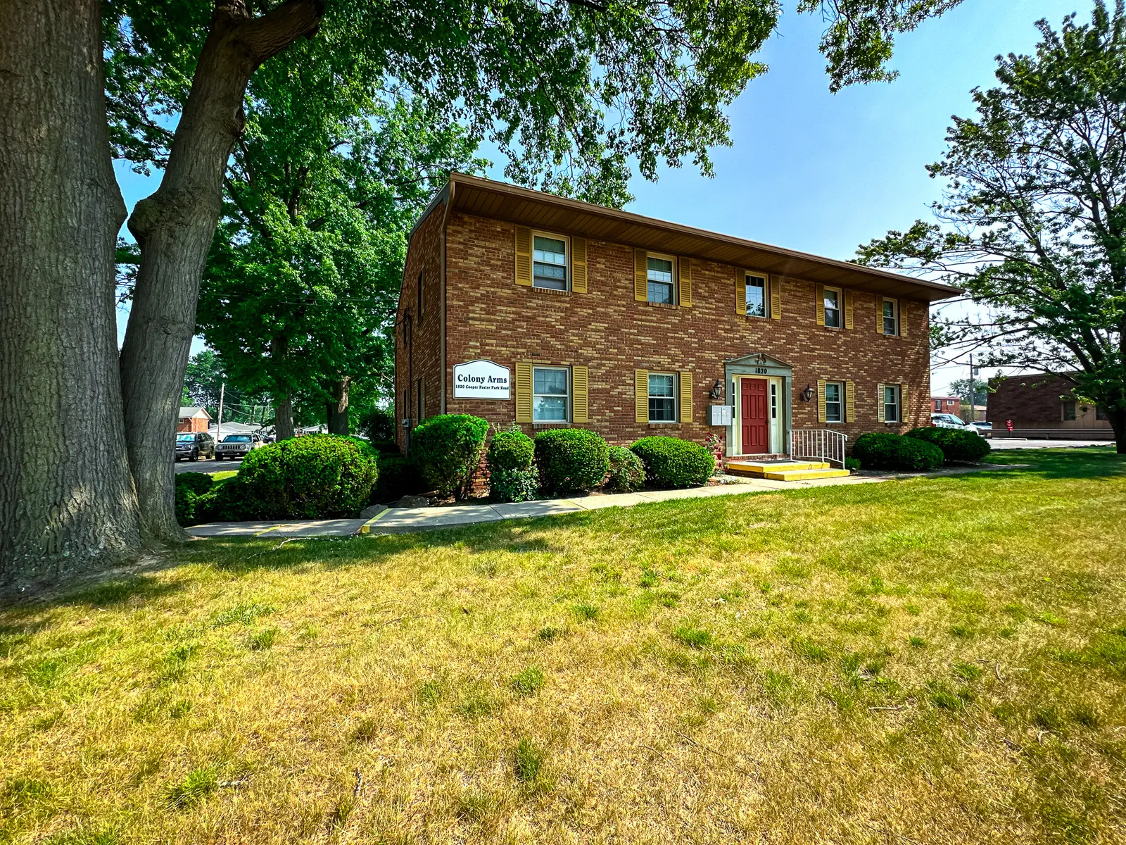 Colony Arms - Grass, Tree, Tree Trunk
