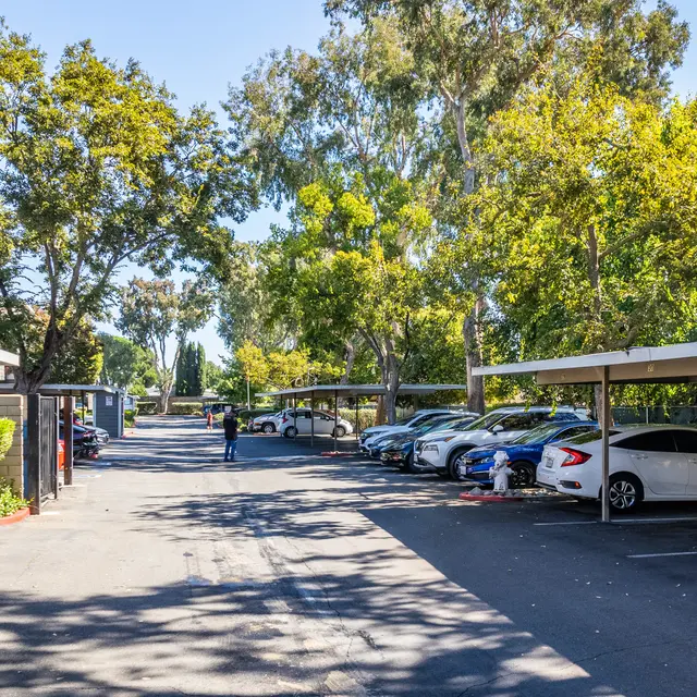 Peachwood Apartments - Person, Car, Vehicle