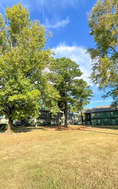 Seasons - Lawn, Park, Tree