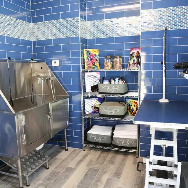 North Village Plaza Apartments