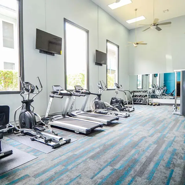 South Shore Community apartment gym with cardio equipment lining the large windows, a weight station, ceiling fans, TV's, and a wall of mirrors.