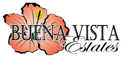 Buena Vista Estates