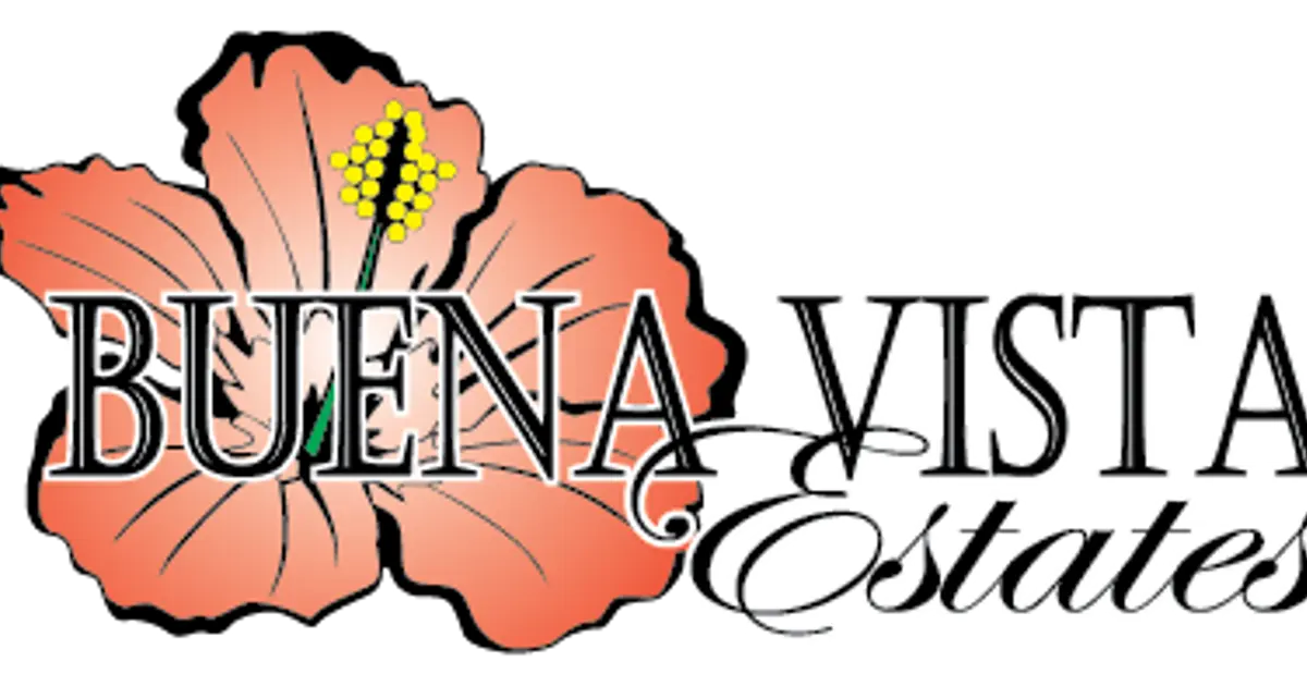 Buena Vista Estates in Dallas, TX