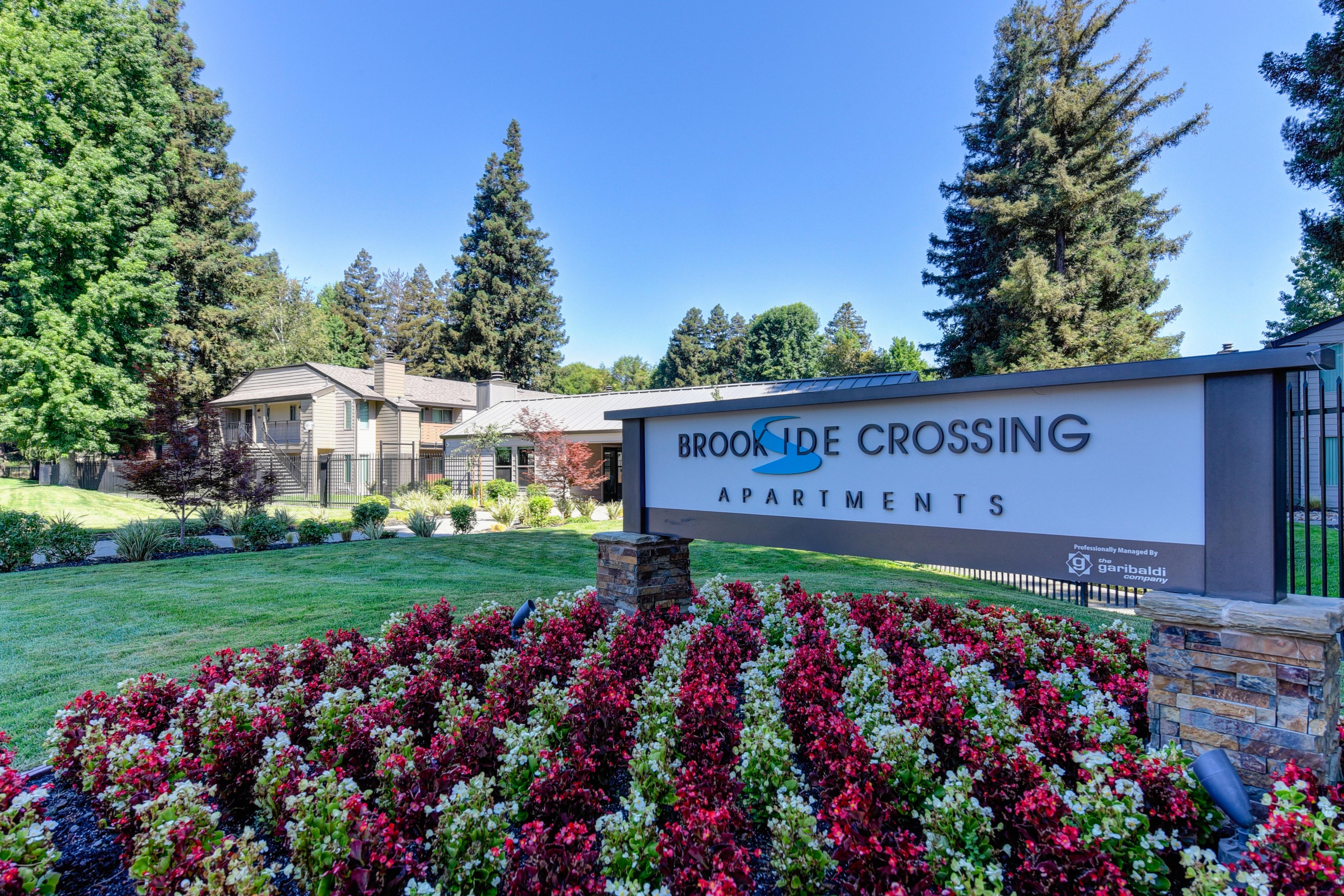 Brookside Crossing Brookside Crossing - Plant, Tree, Fir