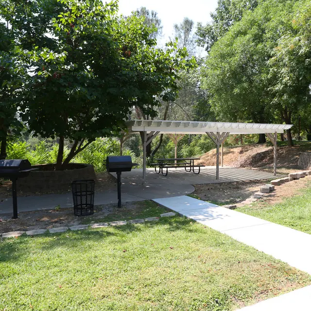 Berryhill - Backyard, Outdoors, Yard