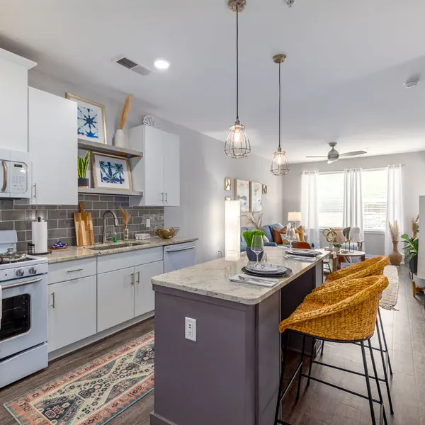 Asbury Flats - Spacious Homes