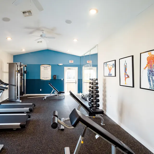 Interior of a modern gym featuring treadmills, weight benches, and fitness artwork on the walls.