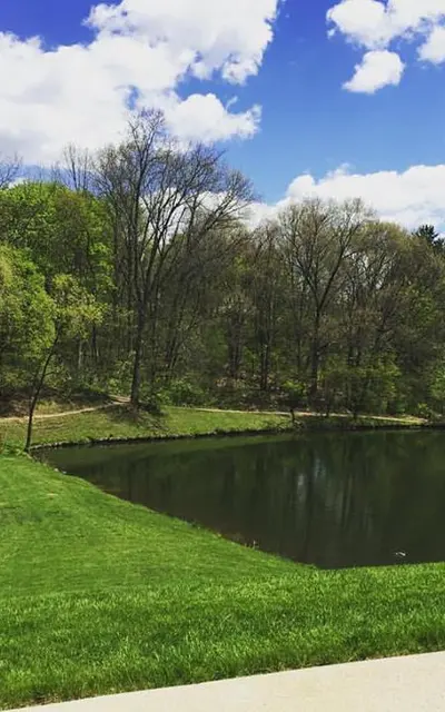 Wildwood off Main - surroundings Wildwood off Main - surroundings