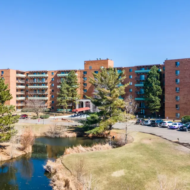 Baron Corporate Website - Tree, Plant, Fir