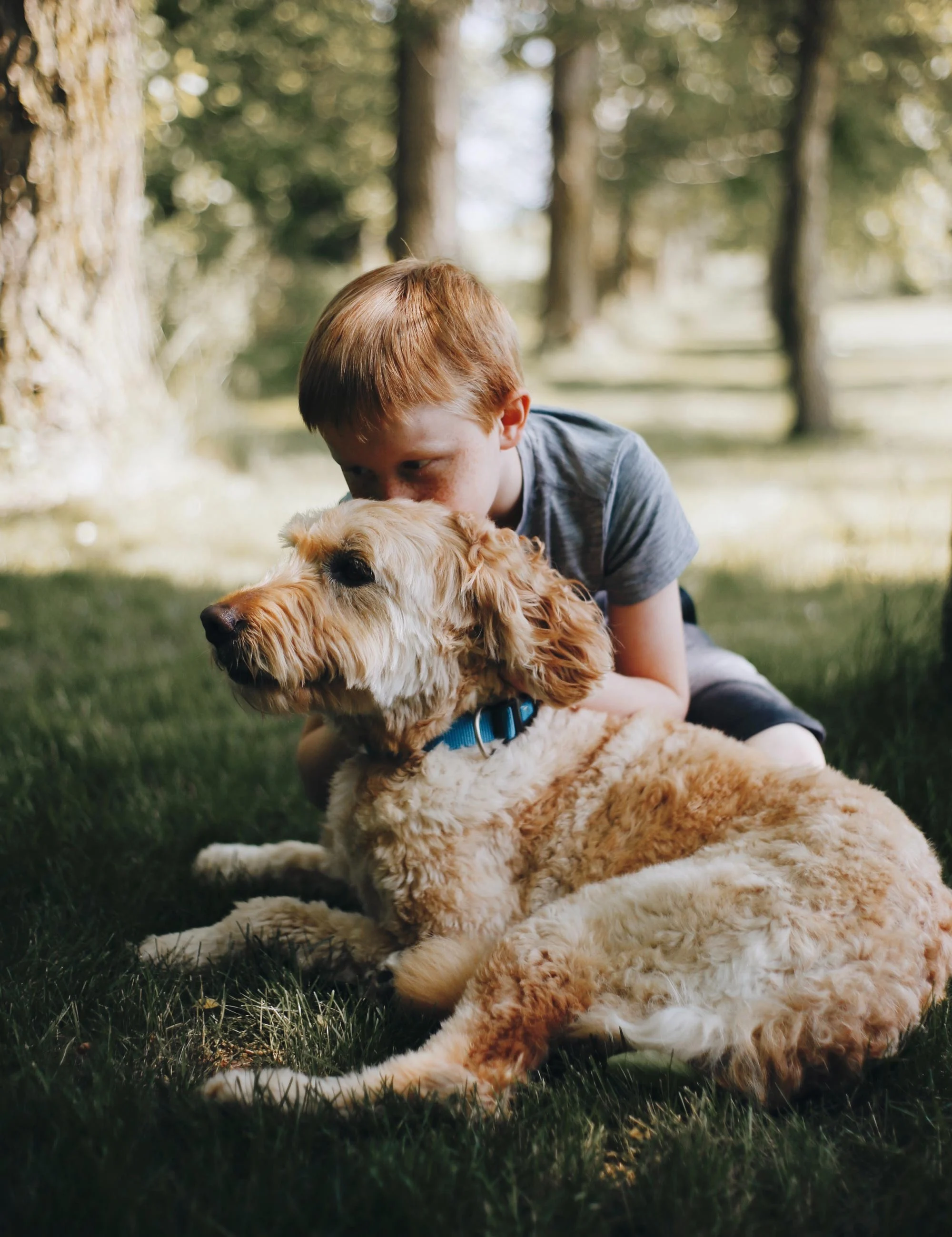 Carolina Place - Dog, Pet