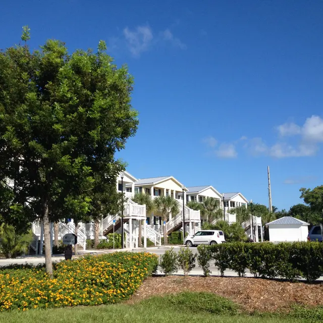 Banyan Grove - Neighborhood, Grass, Tree