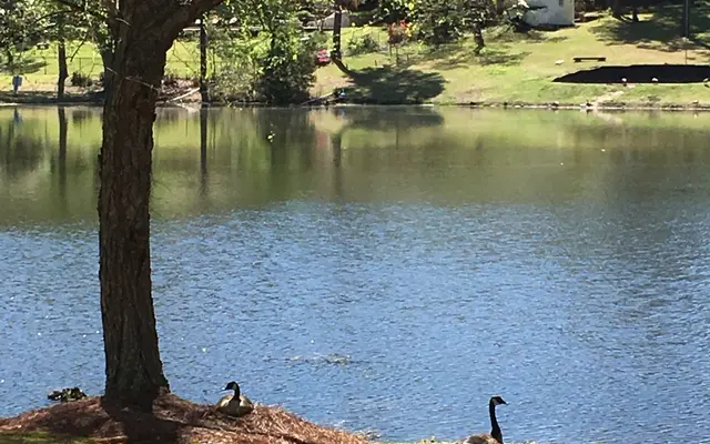 Lake Claire Apartments - Nature