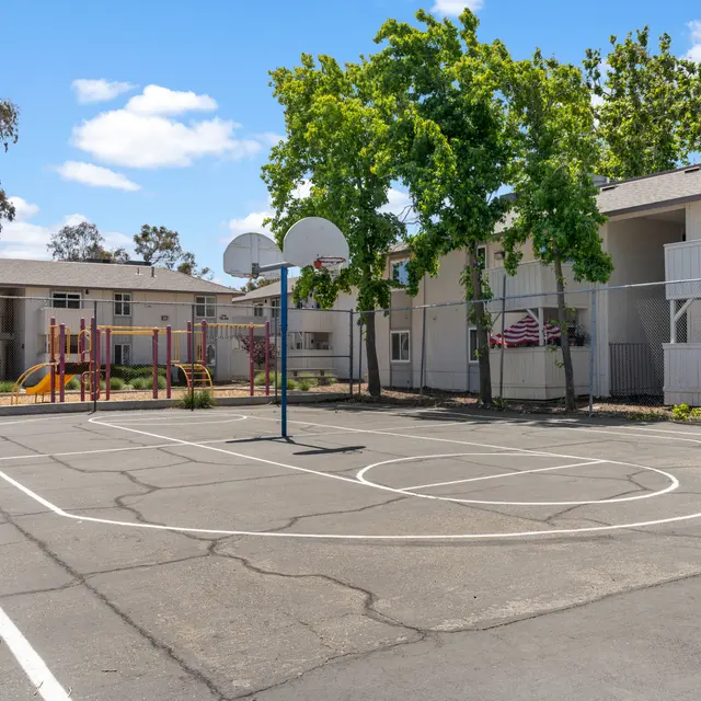 Delta Pines Apartments - Basketball