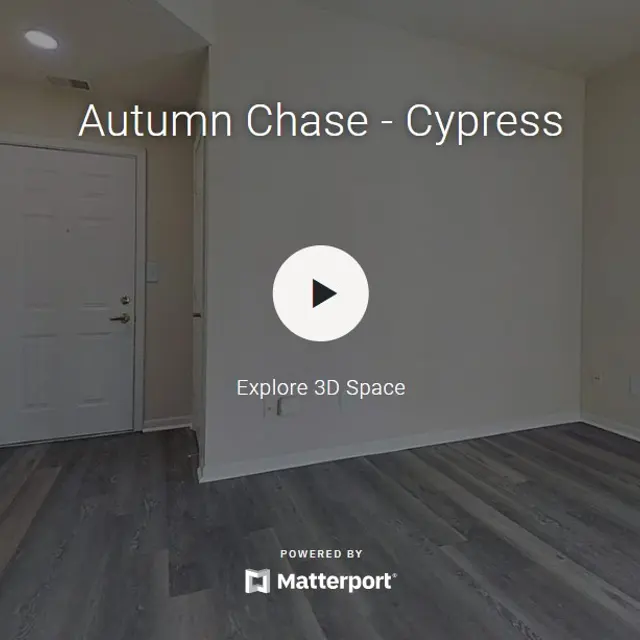 Autumn Chase - Cypress