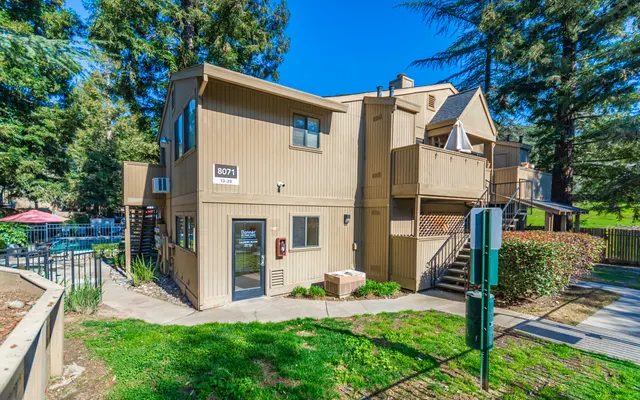 Donner at Fair Oaks - Grass, City, Outdoors