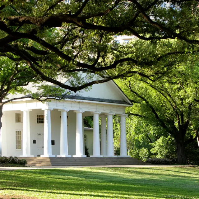 Turtle Creek Park The Argyle - Lawn