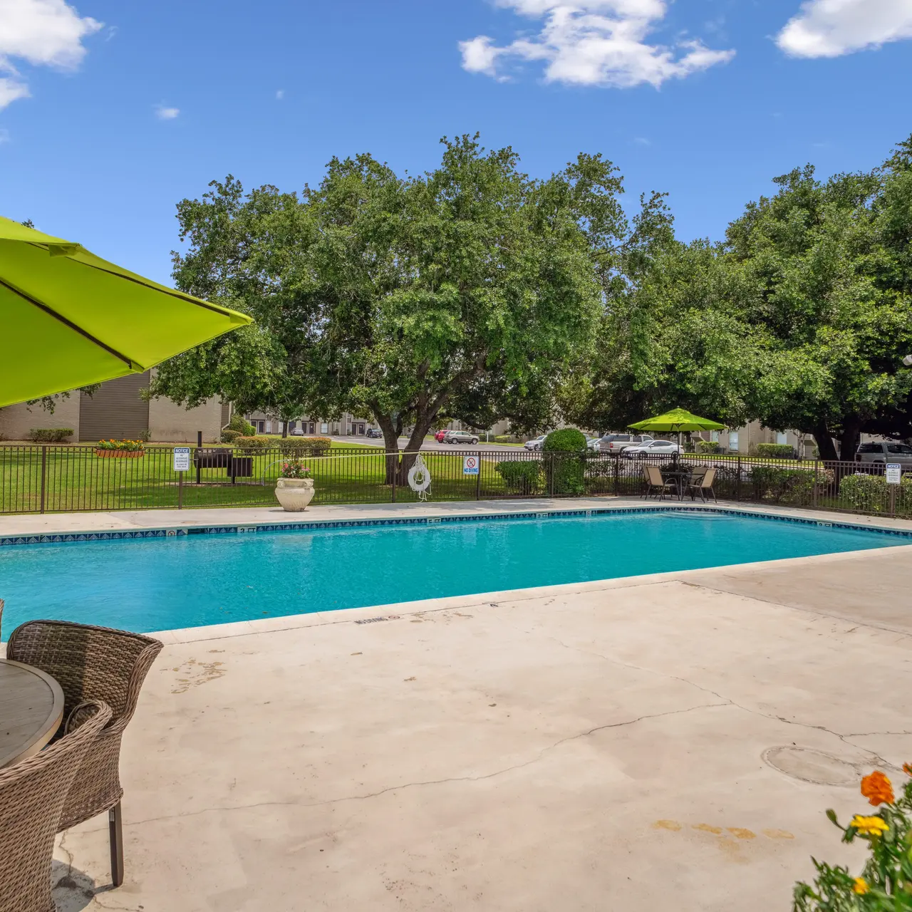 Royal Oaks of Pearland - Pool, Water, Backyard