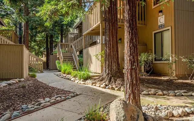 Tahoe at Fair Oaks - Tree, Plant