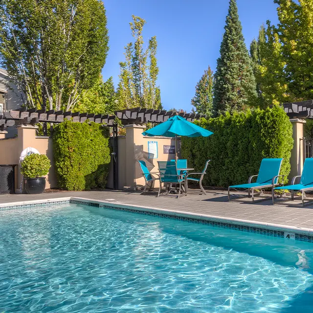 Palladia - Pool, Hotel