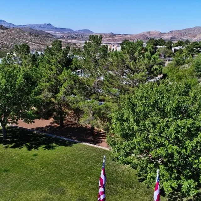 Brisa Apartments - Flag, Tree, Grove