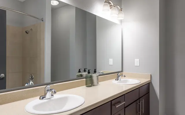 Vineyards at Paseo Del Sol Vineyards at Paseo Del Sol - Shower Faucet, Indoors, Bathroom