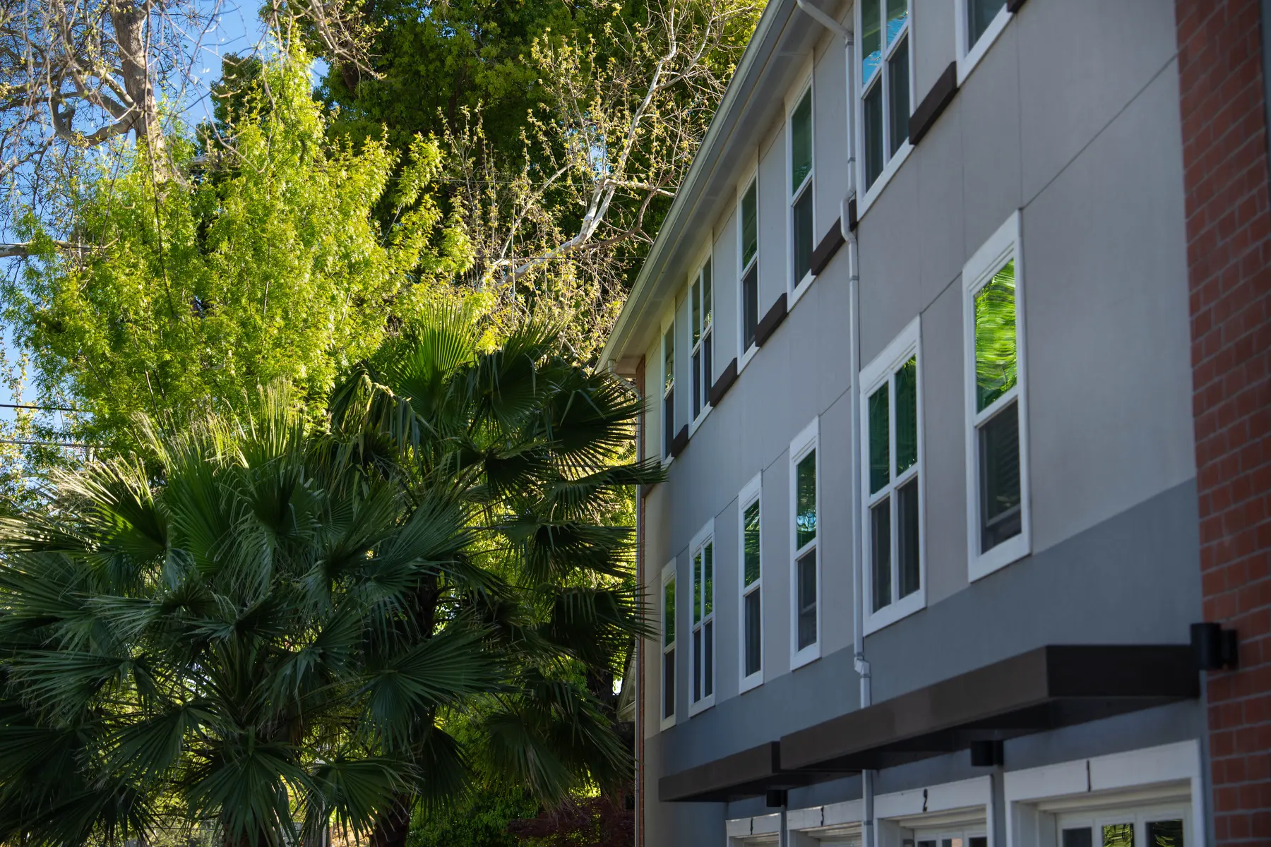 Entro Apartments - Building, Condo, Housing