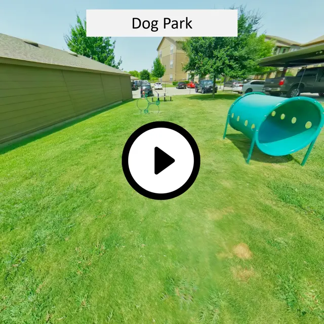 Dog Park
