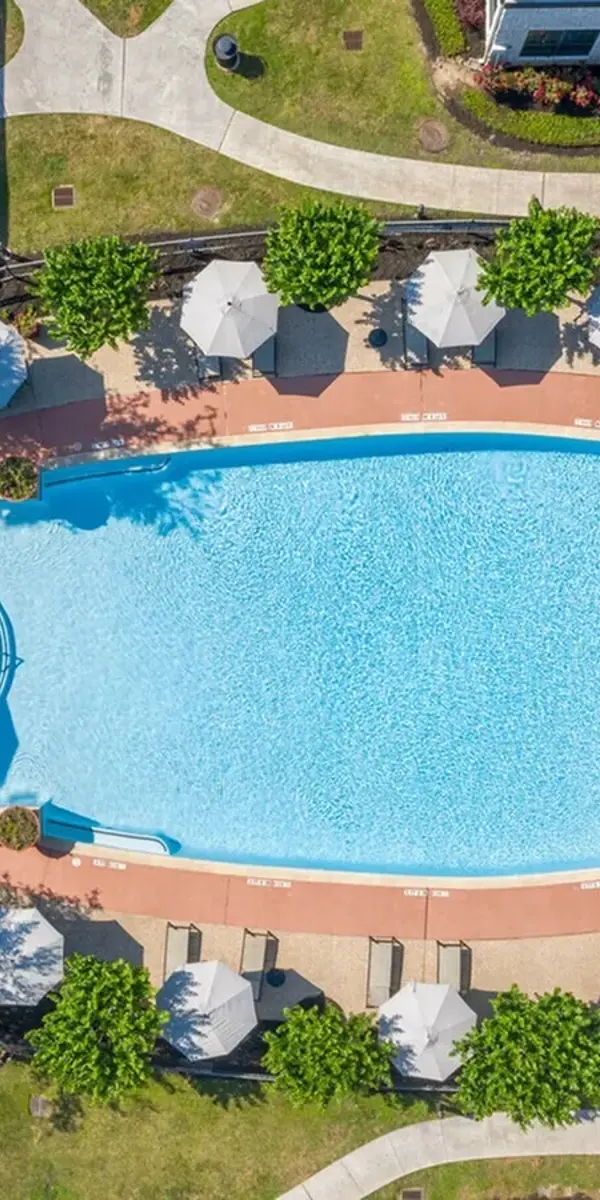 Aerial view of the Palazzo at Cypresswood's resident swimming pool surrounded by trees and lounge seating