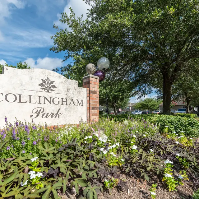 Collingham Park - Grass, Vegetation, Nature